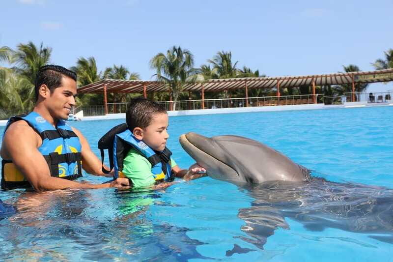 Riviera Maya: Dolphin Encounter with Beach Club Access - My decision guide: should you book this?