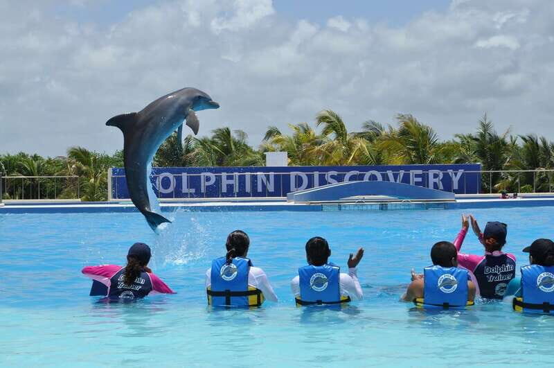Riviera Maya: Dolphin Encounter with Beach Club Access - Marine mammal specialists: what you’re supposed to learn (and why it helps)