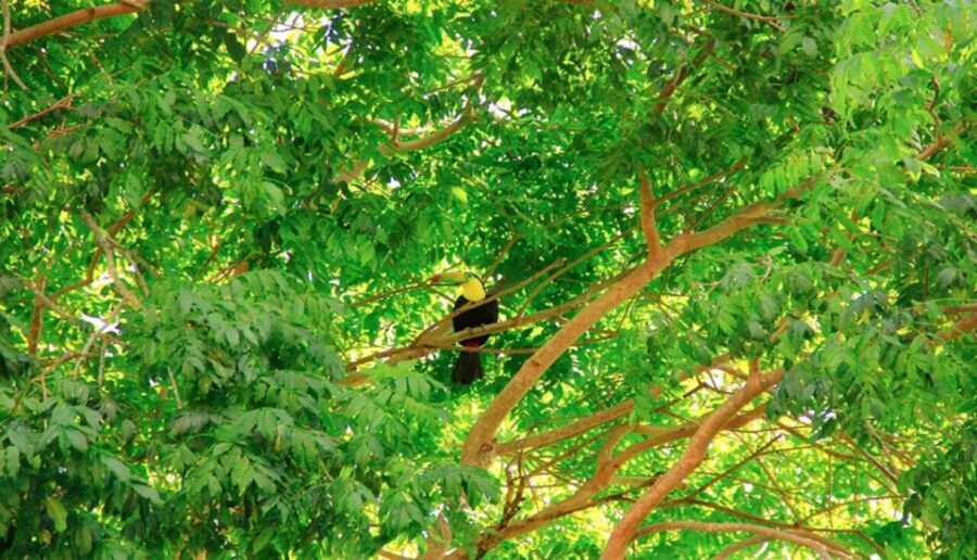 Riviera Maya: Horseback Riding at Rancho Bonanza - Key things to know before you go