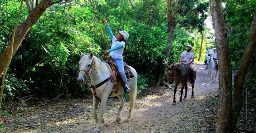 Riviera Maya: Horseback Riding at Rancho Bonanza - The jungle horseback ride: slow pace, real wildlife spotting