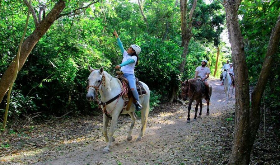 Riviera Maya: Horseback Riding at Rancho Bonanza - Horse care and the people vibe: what the best feedback centers on