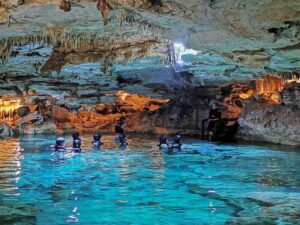 Riviera Maya: Kantun Chi Cenotes, Snorkel & Jungle Hiking - The jungle hike: guided walk, Mayan stories, and real wildlife odds