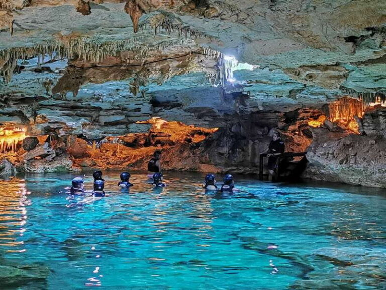 Riviera Maya: Kantun Chi Cenotes, Snorkel & Jungle Hiking - The jungle hike: guided walk, Mayan stories, and real wildlife odds