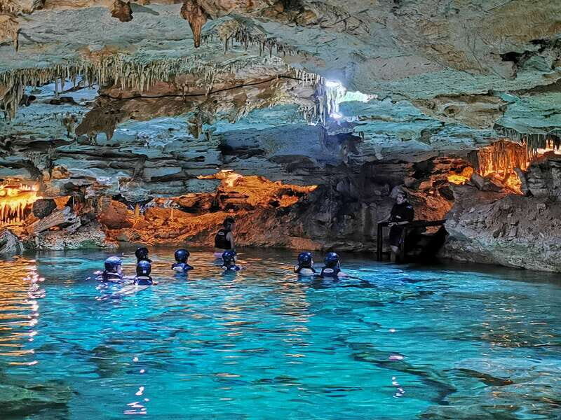 Riviera Maya: Kantun Chi Cenotes, Snorkel & Jungle Hiking - The jungle hike: guided walk, Mayan stories, and real wildlife odds
