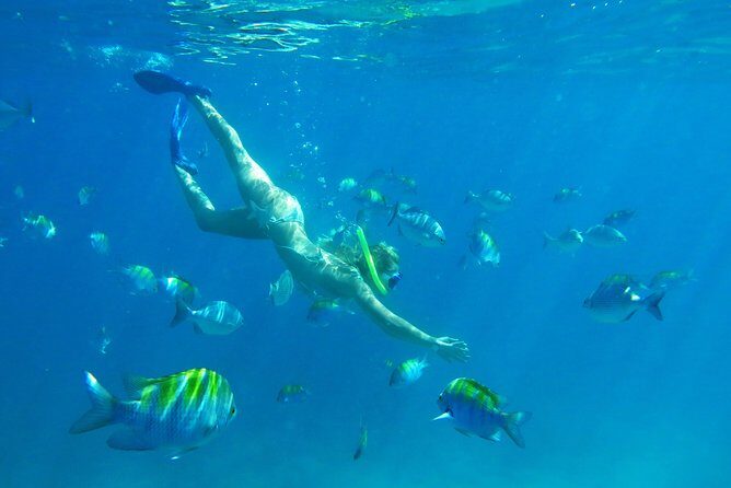 Riviera Maya Luxury Snorkeling Cruise with Lunch and Drinks - Adults-Only vs Family-Friendly Sailings: Choose the Atmosphere on Purpose