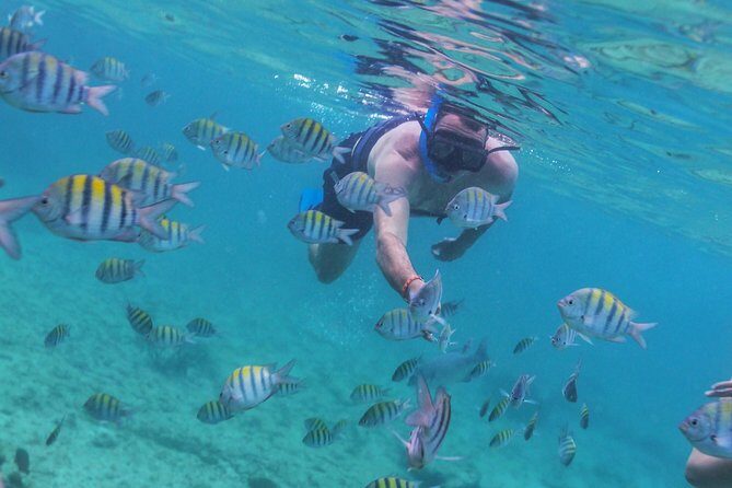 Riviera Maya Luxury Snorkeling Cruise with Lunch and Drinks - Safety and Fitness: This Isn’t for Everyone