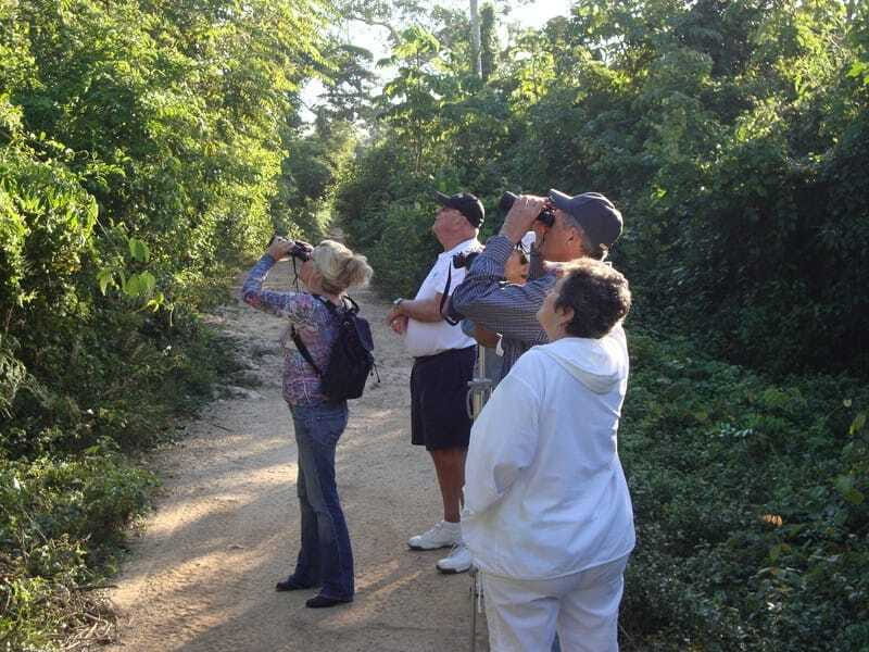Riviera Maya: Puerto Morelos 4-Hour Bird Watching Tour - Sustainability and Mayan culture support you can feel good about