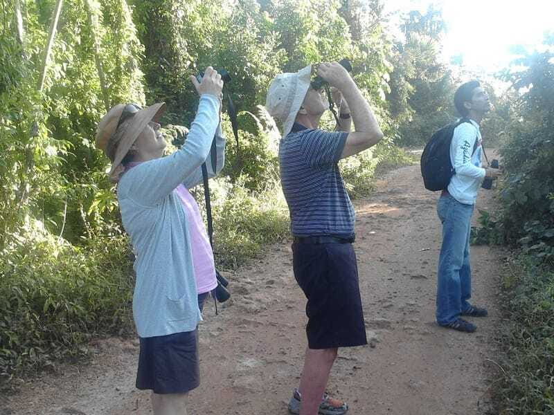 Riviera Maya: Puerto Morelos 4-Hour Bird Watching Tour - What to pack so the tour feels easy (not miserable)