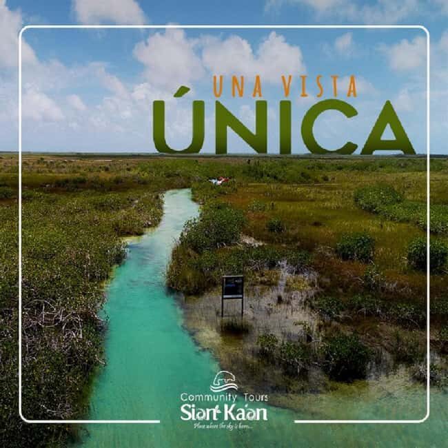 Riviera Maya: Sian Ka'an Reserve Ancient Maya Canals Tour - Chan Muelle to Boca Paila: Where the Reserve Meets the Caribbean