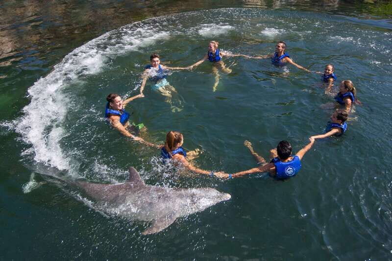Riviera Maya: Swimming Experience with Dolphins - Key Things That Matter Before You Go