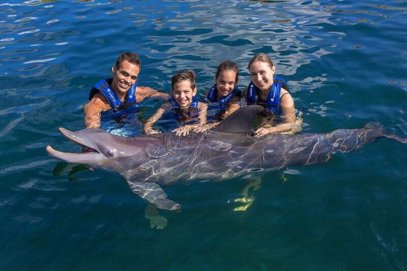 Riviera Maya: Swimming Experience with Dolphins - What This Dolphin Experience Really Feels Like