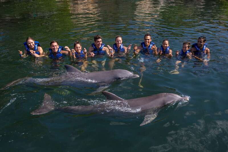 Riviera Maya: Swimming Experience with Dolphins - Rules and Restrictions That Affect Your Planning