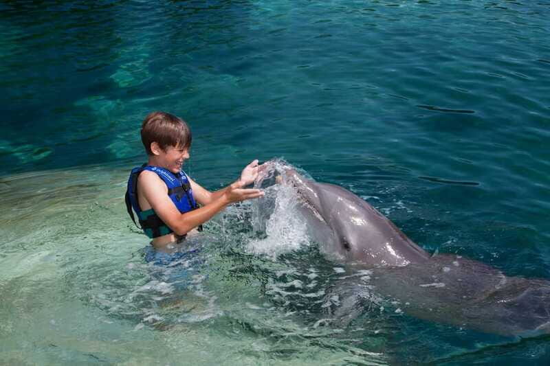 Riviera Maya: Swimming Experience with Dolphins - Price, the Extra Tax, and the Real Value Question