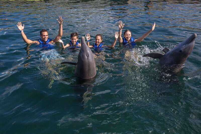 Riviera Maya: Swimming Experience with Dolphins - Who This Suits Best in the Real World