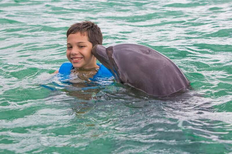 Riviera Maya: Swimming Experience with Dolphins - The Meeting Point Experience: Getting There Calmly