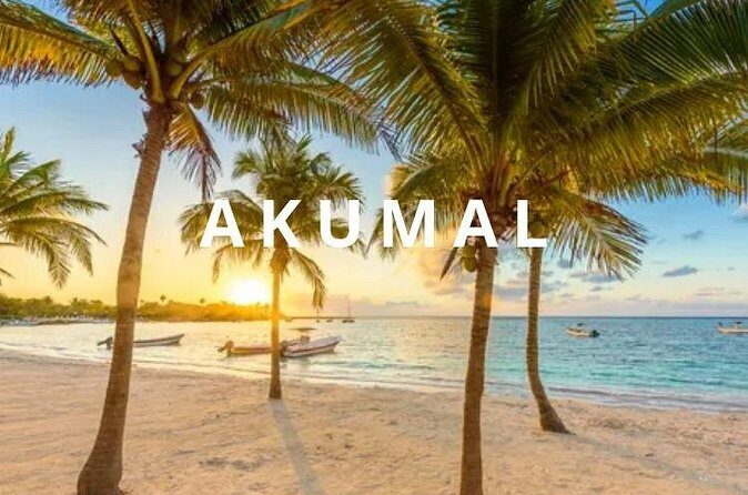Round private transfer Airport- Akumal - Airport. - Price and value: $220 per group for up to 7