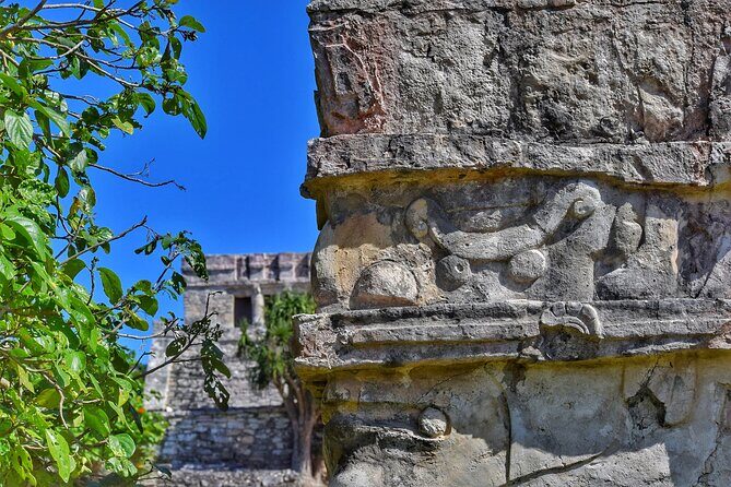 Ruins of Tulum Expres Half Day Private Tour - Water rules and what to pack for the walk