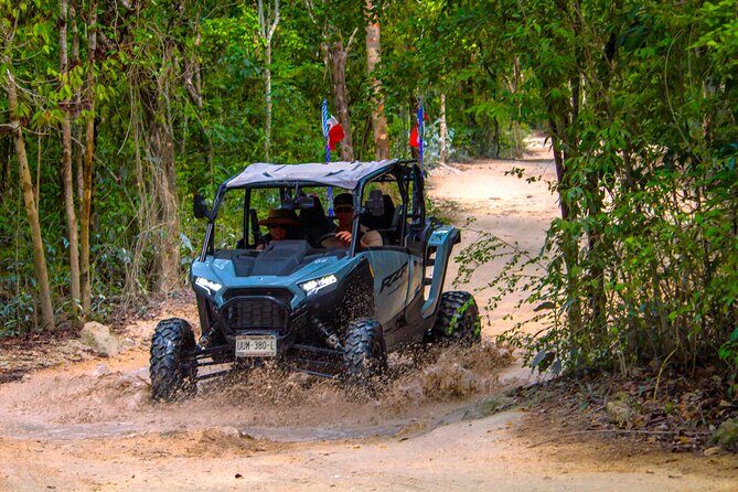 RZR Jungle Off Road to Jade Cavern & Chula’s Beach Club - Jade Cenote: swim in a limestone sinkhole (and decide on the cliff jump)