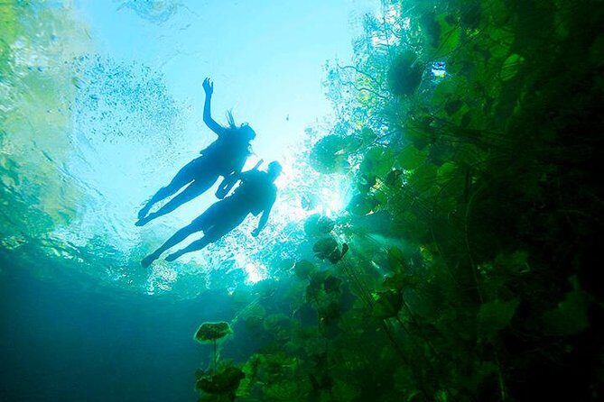 Sacred Adventure at Xenotes! 4 Different Cenotes + Round Transportation - Four Cenotes and the Ruta de los Cenotes Route