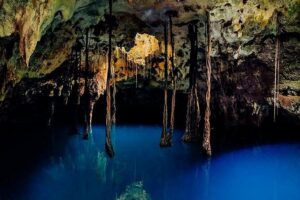 Sacred Adventure at Xenotes! 4 Different Cenotes + Round Transportation - The Morning Timing and How Long You’ll Be Out