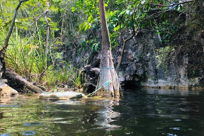 Sacred Adventure at Xenotes! 4 Different Cenotes + Round Transportation - Lunch, Snacks, and Drinks: A Real Value Add