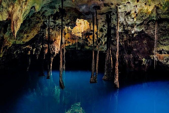 Sacred Adventure at Xenotes! 4 Different Cenotes + Round Transportation - The Morning Timing and How Long You’ll Be Out