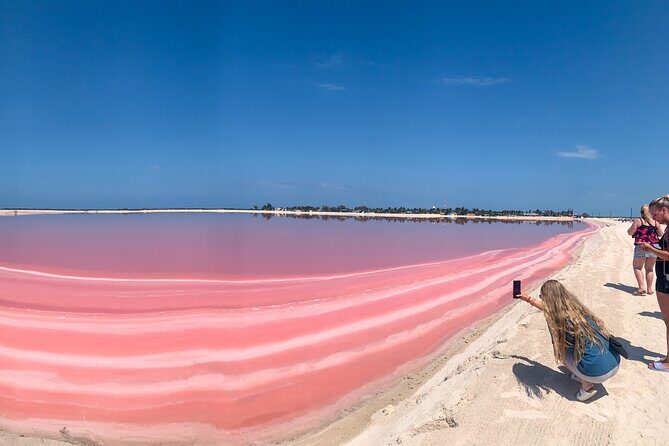 Safari in Rio Lagartos, Coloradas and Mayan Bath - Key highlights to know before you go