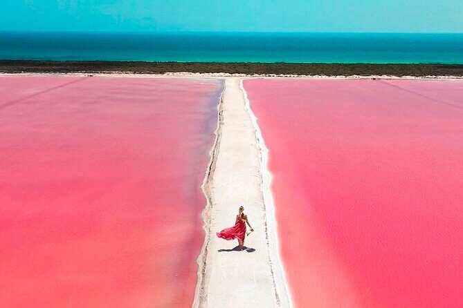 Safari in Rio Lagartos, Coloradas and Mayan Bath - How the long day works: 7:00am start, hours on the bus
