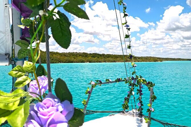 Sail 4hr in the most SECRET Spot of Bacalar and Beach Club. - Mangroves, snails, and meeting John the Mangrove