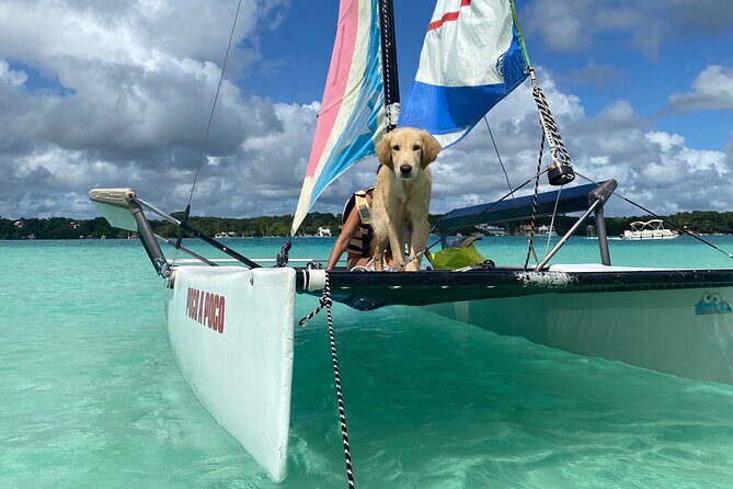 Sail away! Hobie Cat Tour Bacalar - Why This Hobie Cat Route Works in Bacalar
