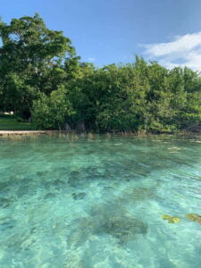 Sailboat tour in the seven colors lagoon of Bacalar - Getting to Agua Dulce Beach Club and Boarding Without Stress