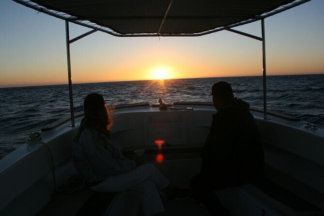 San Jose del Cabo Small-Group Sunrise Whale Watching - San Jose del Cabo’s 6:00 am Start That Actually Pays Off