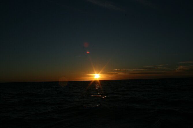 San Jose del Cabo Small-Group Sunrise Whale Watching - Comfortable Vessels, Safety Standards, and a Captain Who Gets It