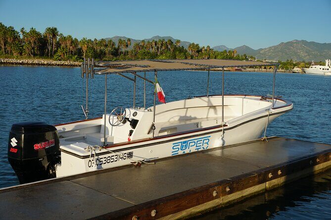 San Jose del Cabo Small-Group Sunrise Whale Watching - What You Might See Beyond Whales