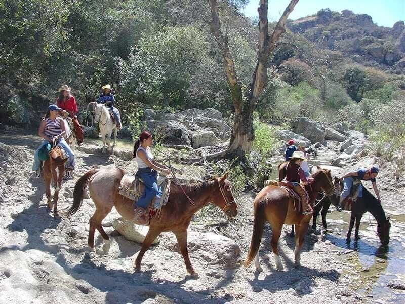 San Miguel Allende: Half-Day Horseback Riding Adventure - Safety realities: who this tour is and isn’t for