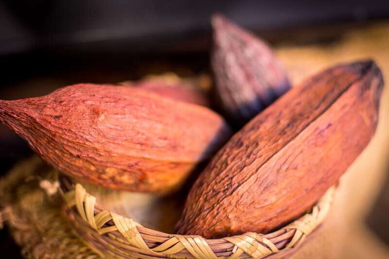 San Miguel de Allende: Chocolate Tasting and Walking Tour - The five samples: savory to sweet, with real Mexican context