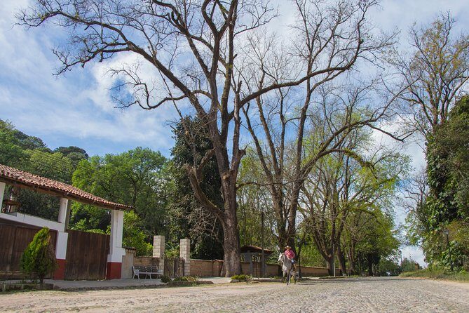 San Sebastian del Oeste - Who this tour is best for (and who should skip it)
