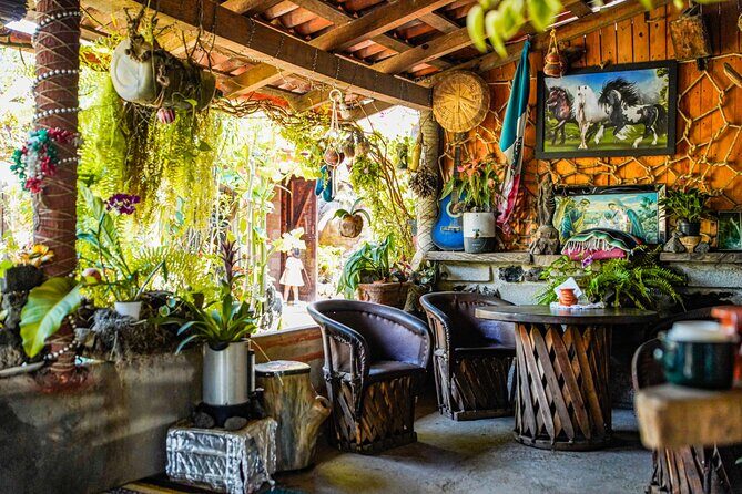 San Sebastian Del Oeste: Private Day Trip from Puerto Vallarta - La Quinta Mary Coffee Farm: where coffee history becomes real