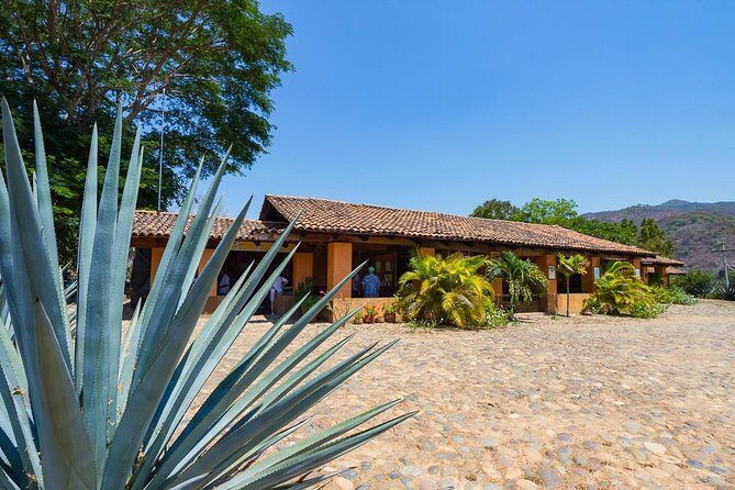 San Sebastian Tour - San Sebastian del Oeste: A mountain town day trip from Puerto Vallarta
