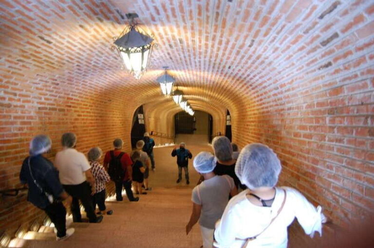 Santiago de Querétaro: Pueblos Mágicos Cheese and Wine Route - The Cheese-and-Wine Block: 14 Cheeses, Two Wines, and Pairing Logic