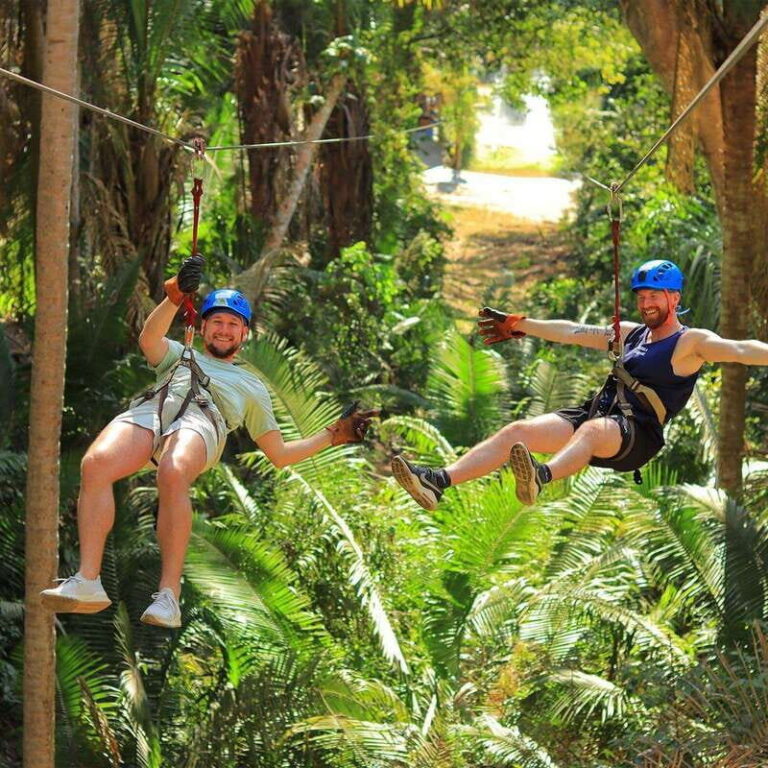 Sayulita: Canopy Tours & Zip-line Adventure - Flying the Jungle: 13 Zip-Lines, Double Lines, and Bridges