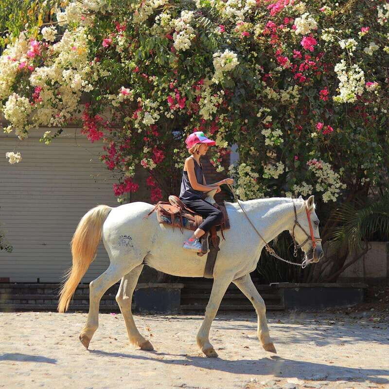 Sayulita: Horseback Riding Tour - Getting Matched to Your Horse: How Beginner-Friendly Really Works