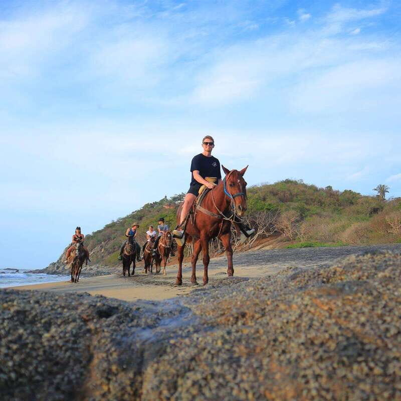 Sayulita: Horseback Riding Tour - The Jungle Portion: Shade, Scenery, and Noticing the Details