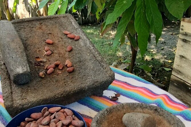 Sayulita Local Flavors - Mary’s Traditional Mexican Cuisine lunch: what a good guide protects