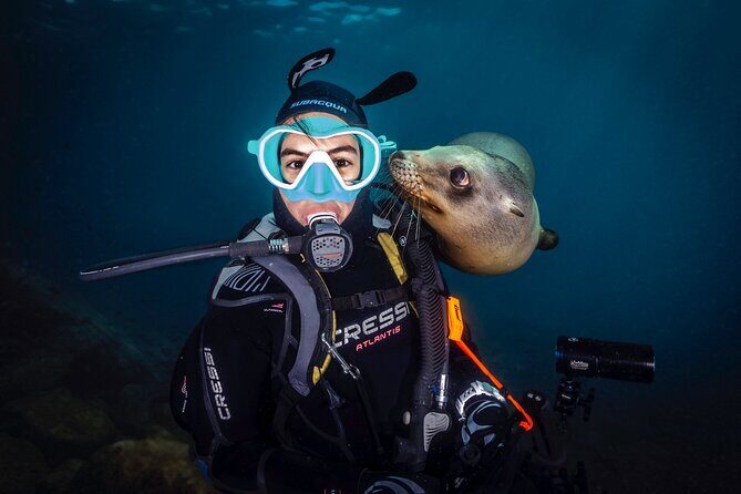 Scuba Dive in La Paz: Sea Lions, Turtles, Fish Schools and Wrecks - Between sessions or after them: the beach lunch break you’ll actually enjoy