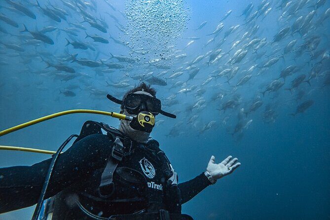 Scuba Diving - Key things that make Cabo Trek’s underwater outing worth your time