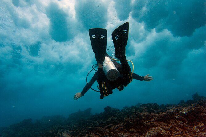 Scuba Diving (1st time) in Cancun Beginner's WELCOMED! - First-Time Scuba in Cancun: What Makes This Setup Feel Easy