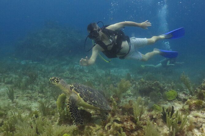 Scuba Diving (1st time) in Cancun Beginner's WELCOMED! - Safety and Instruction: How PADI Coaching Keeps First-Time Water Time Under Control