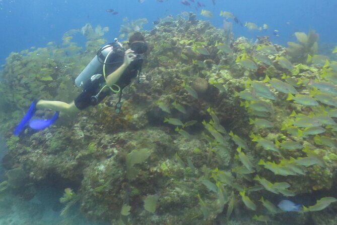 Scuba Diving (1st time) in Cancun Beginner's WELCOMED! - Cost Reality Check: What You Pay On-Site vs What You Can Choose