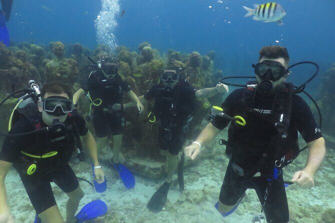 Scuba Diving (1st time) in Cancun Beginner's WELCOMED! - What to Bring and How to Prepare So Your First Time Feels Better